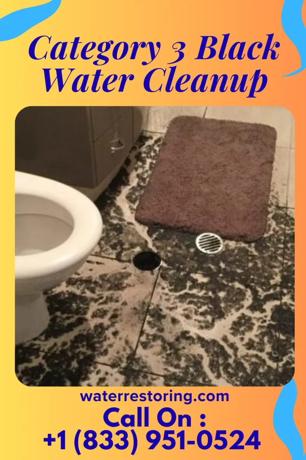Category 3 Black Water Cleanup in Chickasaw, OH