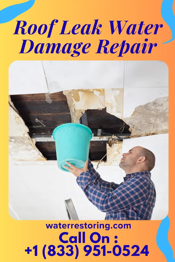 Roof Leak Water Damage Repair in Chickasaw, OH