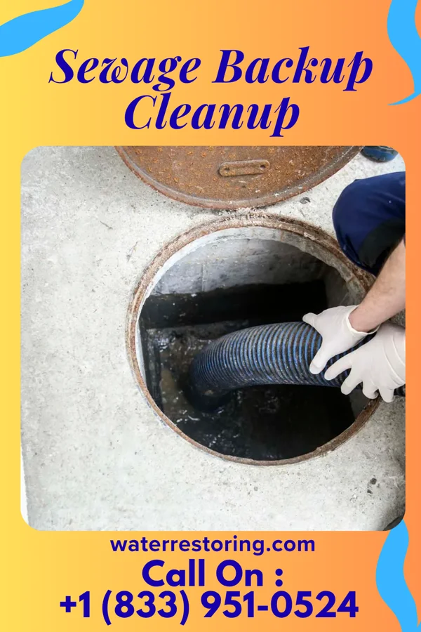 Sewage Backup Cleanup in Chickasaw, OH
