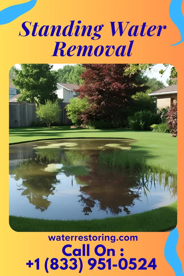 Standing Water Removal in Chickasaw, OH